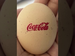 8 Warna Tinta DTF UV Printer dengan AB Printing Film dan ketinggian fleksibel Media 6mm