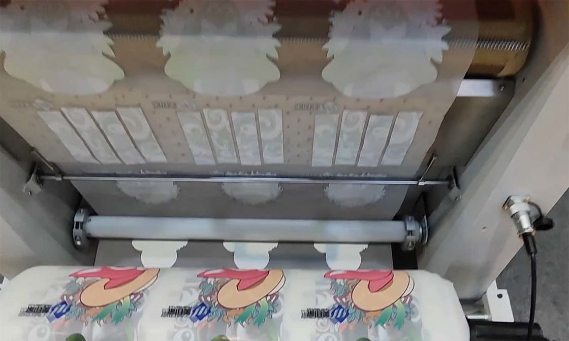 Advanced Wide Format Shaker Asap Dan Pembersih Minyak Dengan PET Film Conveyor